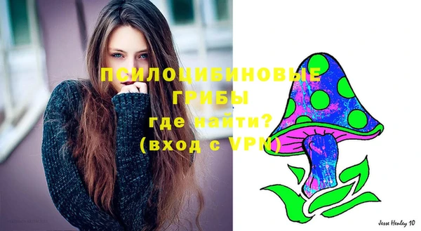 мяу мяу кристалл Богданович