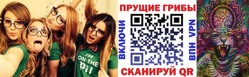 Галлюциногенные грибы Psilocybe Чудово